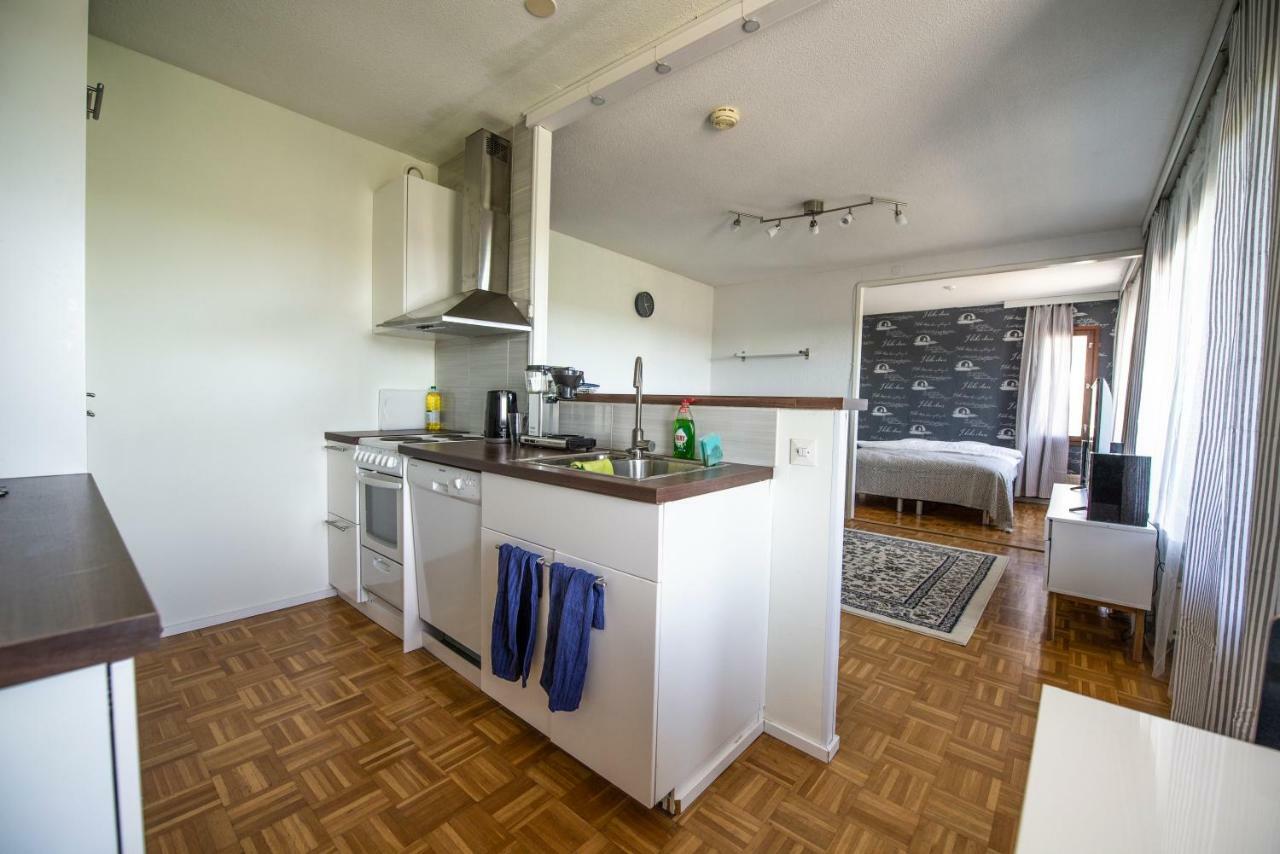 Mikkeli Citycenter Apartment With Sauna Exteriér fotografie